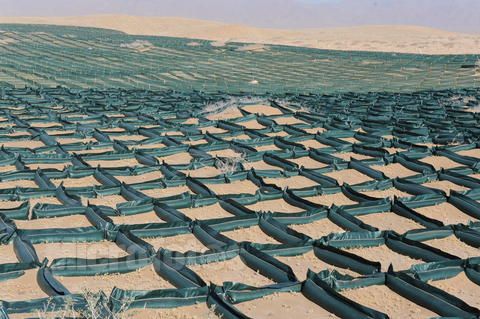 内蒙古某公司沙漠治理项目