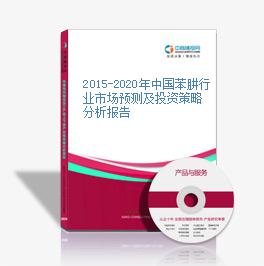 2015-2020年中國苯肼行業市場預測及投資策略分析報告