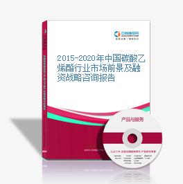 2015-2020年中國碳酸乙烯酯行業市場前景及融資戰略咨詢報告
