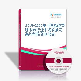 2015-2020年中国盐酸罗哌卡因行业市场前景及融资战略咨询报告