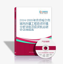 2014-2020年齐齐哈尔市城市改建工程投资环境分析评估及投资机会研究咨询报告