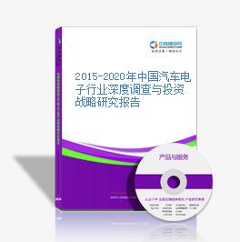2015-2020年中国汽车电子行业深度调查与投资战略研究报告