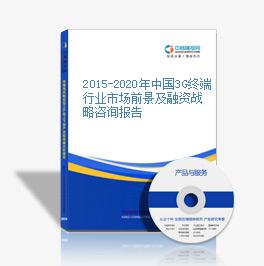 2015-2020年中国3G终端行业市场前景及融资战略咨询报告