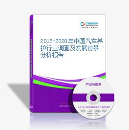 2015-2020年中國汽車養護行業調查及發展前景分析報告