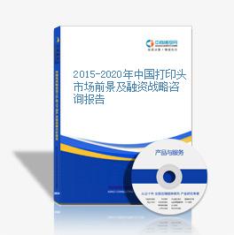 2015-2020年中國打印頭市場前景及融資戰略咨詢報告
