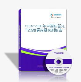 2015-2020年中國鐵笛丸市場發展前景預測報告