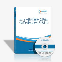 2015年版中国电话通信线项目融资商业计划书