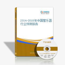 2014-2018年中国管乐器行业预测报告