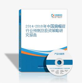 2014-2018年中国扁嘴钳行业预测及投资策略研究报告
