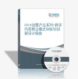 2014创意产业系列-数字内容商业模式评估与创新设计报告