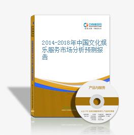 2014-2018年中国文化娱乐服务市场分析预测报告