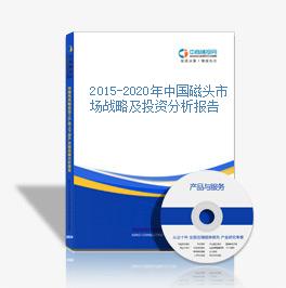 2015-2020年中國磁頭市場戰略及投資分析報告