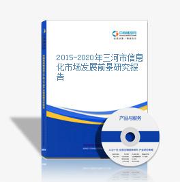 2015-2020年三河市信息化市场发展前景研究报告