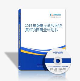 2015年版电子政务系统集成项目商业计划书