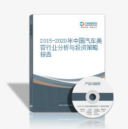 2015-2020年中國汽車美容行業分析與投資策略報告
