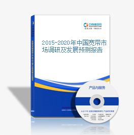 2015-2020年中國寬帶市場調研及發展預測報告