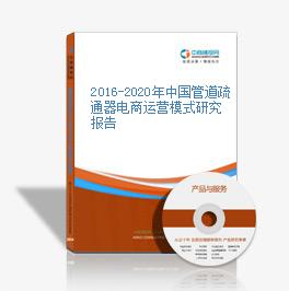 2016-2020年中国管道疏通器电商运营模式研究报告
