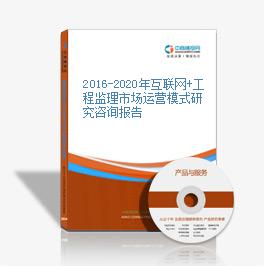 2016-2020年互聯網+工程監理市場運營模式研究咨詢報告