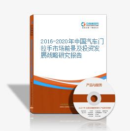 2016-2020年中国汽车门拉手市场前景及投资发展战略研究报告