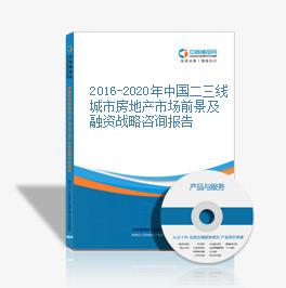 2016-2020年中国二三线城市房地产市场前景及融资战略咨询报告
