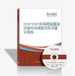 2016-2020年海南省基礎設施市場調查及投資建議報告