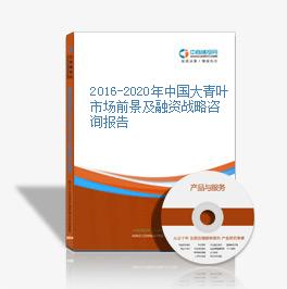 2016-2020年中國大青葉市場前景及融資戰略咨詢報告