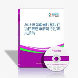 2016年海南省民营银行项目筹建申请可行性研究报告