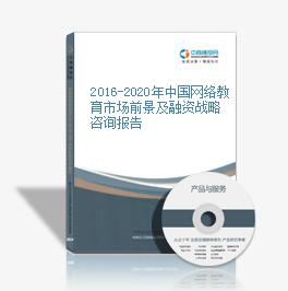 2016-2020年中国网络教育市场前景及融资战略咨询报告