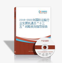 2016-2020年国际运输行业发展机遇及“十三五”战略规划指导报告