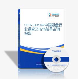 2016-2020年中國磁盤行業調查及市場前景咨詢報告
