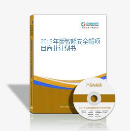 2015年版智能安全帽項目商業計劃書