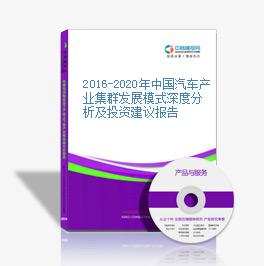 2016-2020年中国汽车产业集群发展模式深度分析及投资建议报告
