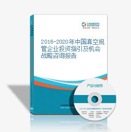 2016-2020年中国真空规管企业投资指引及机会战略咨询报告