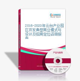2016-2020年云臺產業園區開發典型商業模式與設計及招商定位咨詢報告