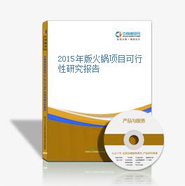 2015年版火锅项目可行性研究报告