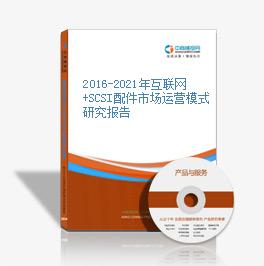 2016-2021年互聯網+SCSI配件市場運營模式研究報告