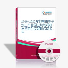 2016-2020年邯鄲市電子加工產業園區規劃調研與招商引資策略咨詢報告