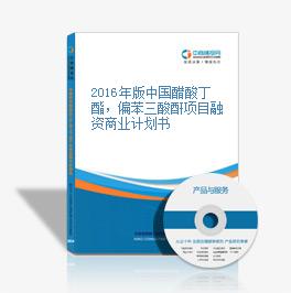 2016年版中国醋酸丁酯，偏苯三酸酐项目融资商业计划书