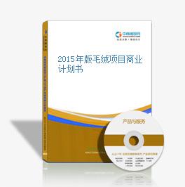 2015年版毛絨項目商業計劃書