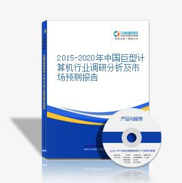 2015-2020年中国巨型计算机行业调研分析及市场预测报告