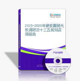 2015-2020年硬胶囊抛光机调研及十三五规划咨询报告
