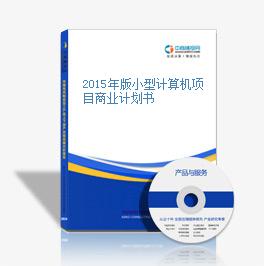 2015年版小型计算机项目商业计划书