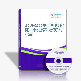 2015-2020年中國甲地孕酮未來發展及投資研究報告