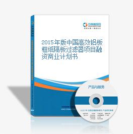 2015年版中国高效铝板框纸隔板过滤器项目融资商业计划书