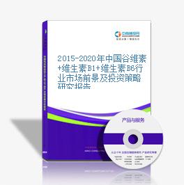 2015-2020年中国谷维素+维生素B1+维生素B6行业市场前景及投资策略研究报告