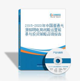 2015-2020年中国普通光源照明电商战略运营前景与投资策略咨询报告