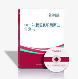 2015年版橡胶项目商业计划书