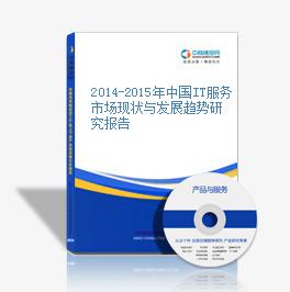 2014-2015年中國IT服務市場現狀與發展趨勢研究報告