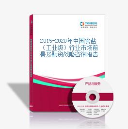 2015-2020年中國食鹽（工業級）行業市場前景及融資戰略咨詢報告