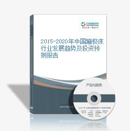 2015-2020年中國蹦極床行業發展趨勢及投資預測報告